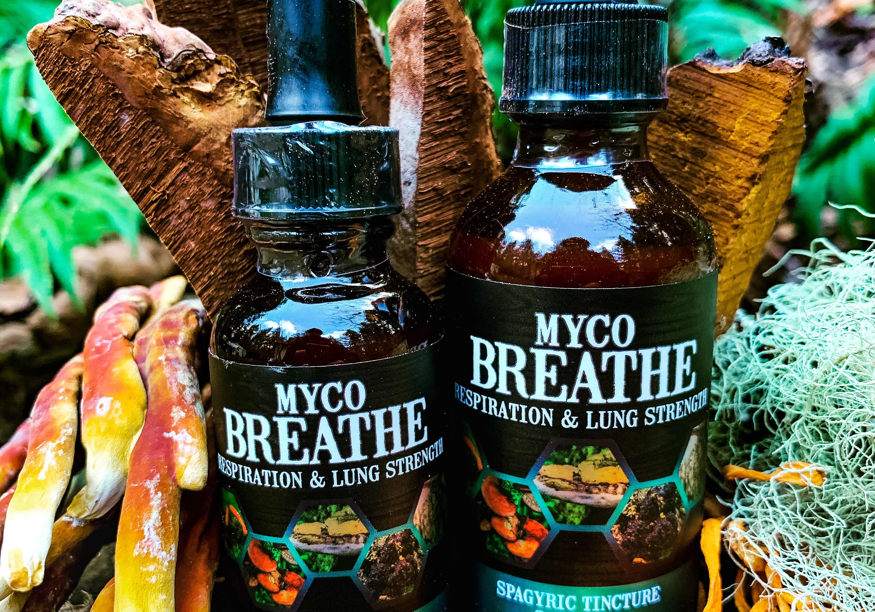 MycoBreathe: Fungi for Respiratory Support