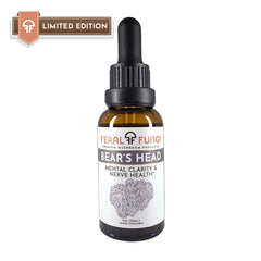 Bear's Head (Hericium abietis) Spagyric Tincture
