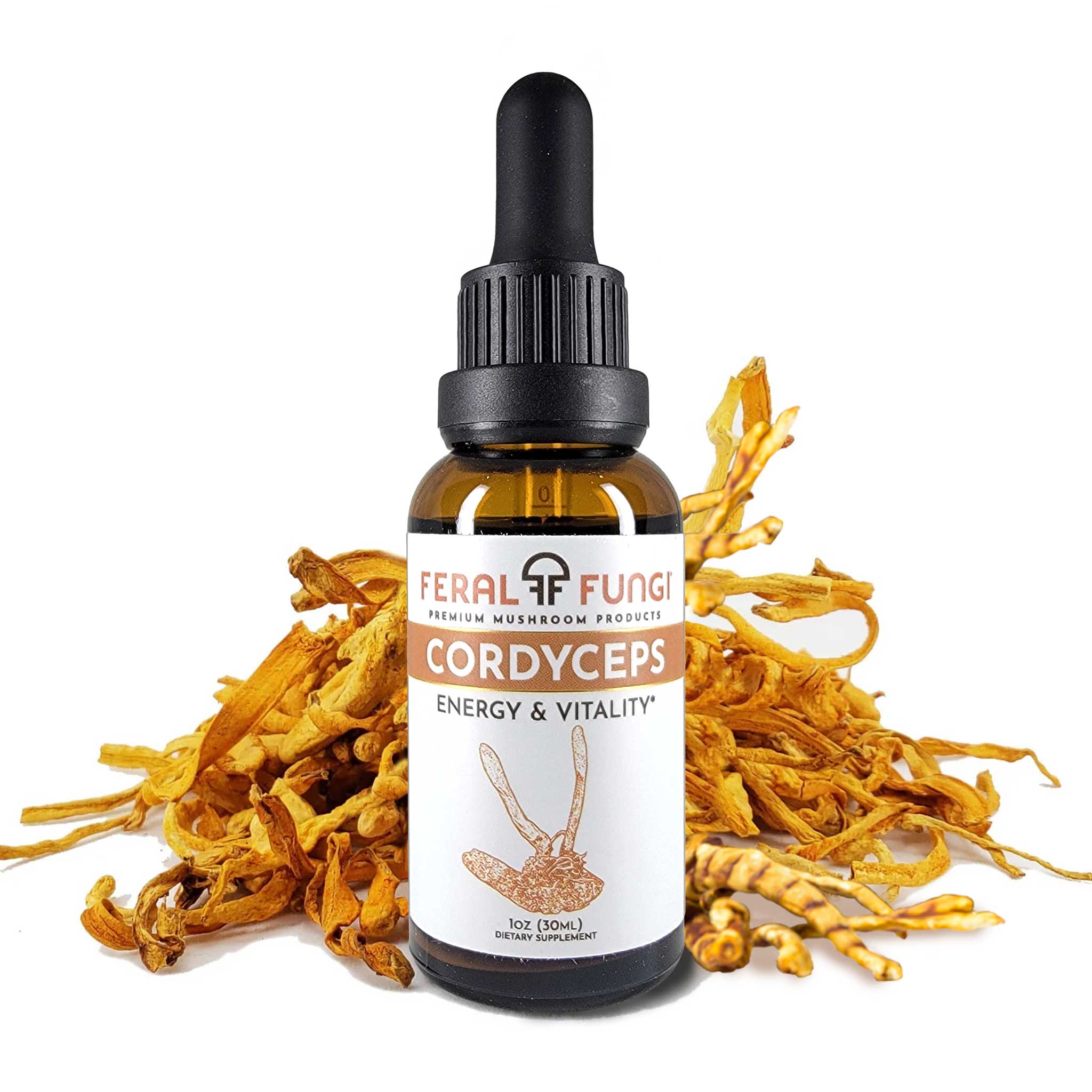 Cordyceps (Cordyceps Militaris)
