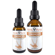 Cordyceps (Cordyceps Militaris)