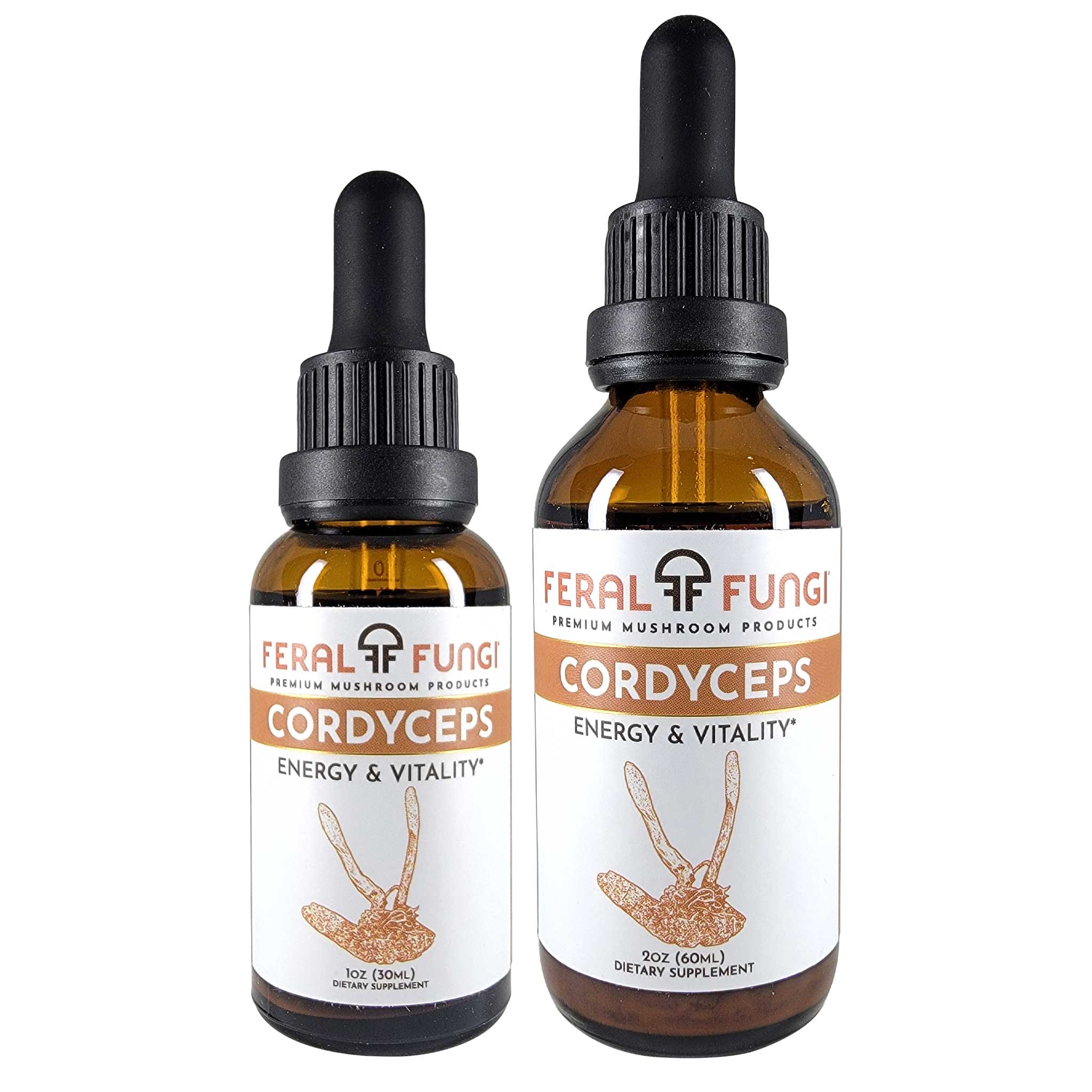 Cordyceps (Cordyceps Militaris)