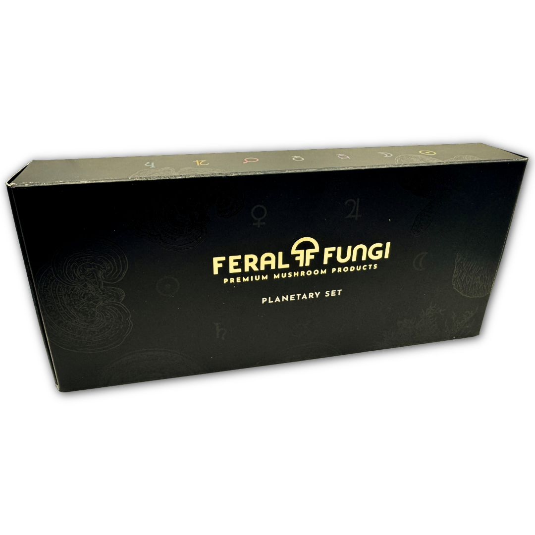 Planetary Set of 7 Spagyric Tinctures – Feral Fungi