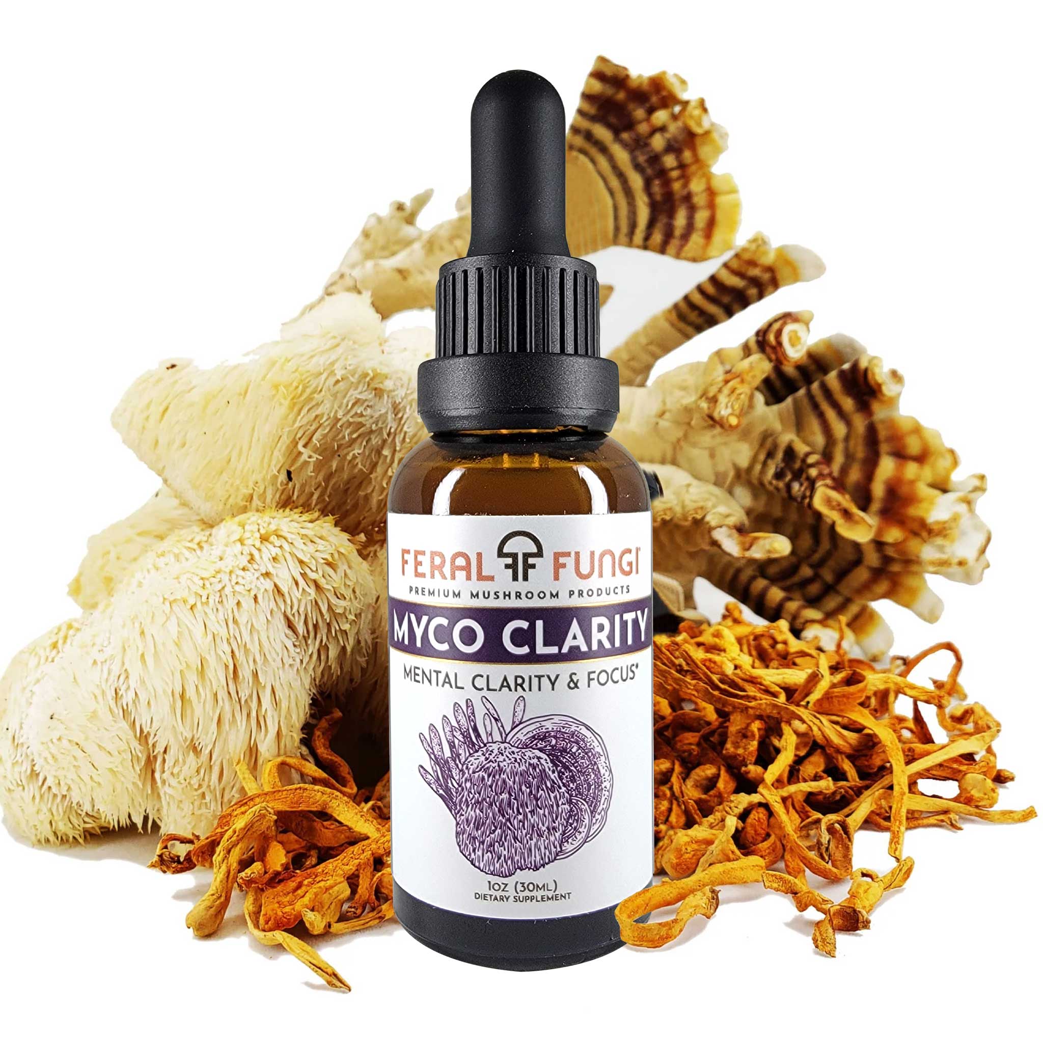 Myco-Clarity Spagyric Tincture – Feral Fungi