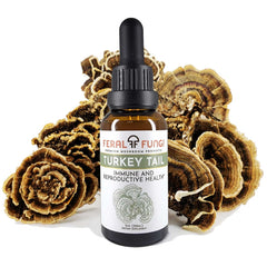 Turkey Tail (Trametes versicolor) Spagyric Tincture