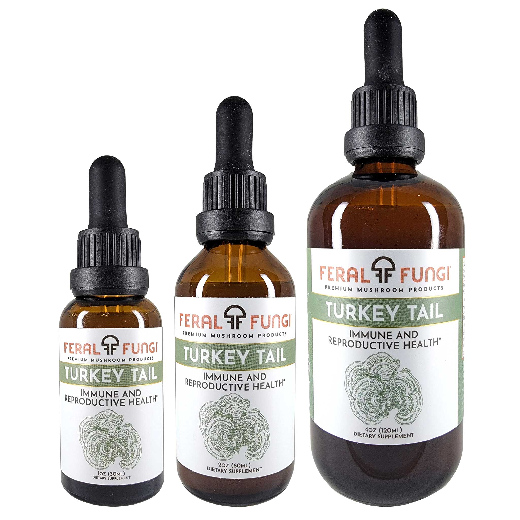 Turkey-Tail-Feral-Fungi-Mushroom-Tincture-Find-Your-Fungi-Sizes.jpg