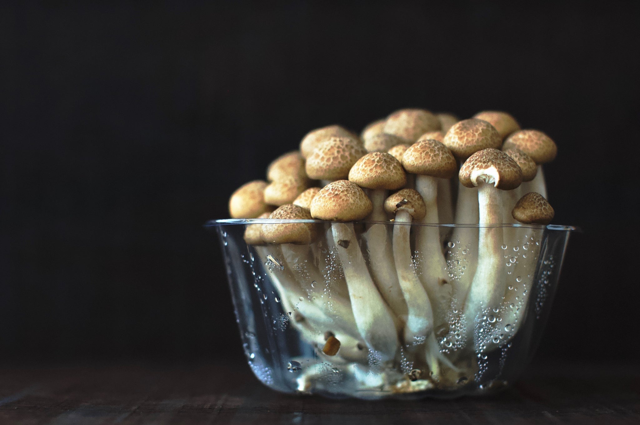 Oyster Mushrooms vs Shiitake: What's The Difference?
