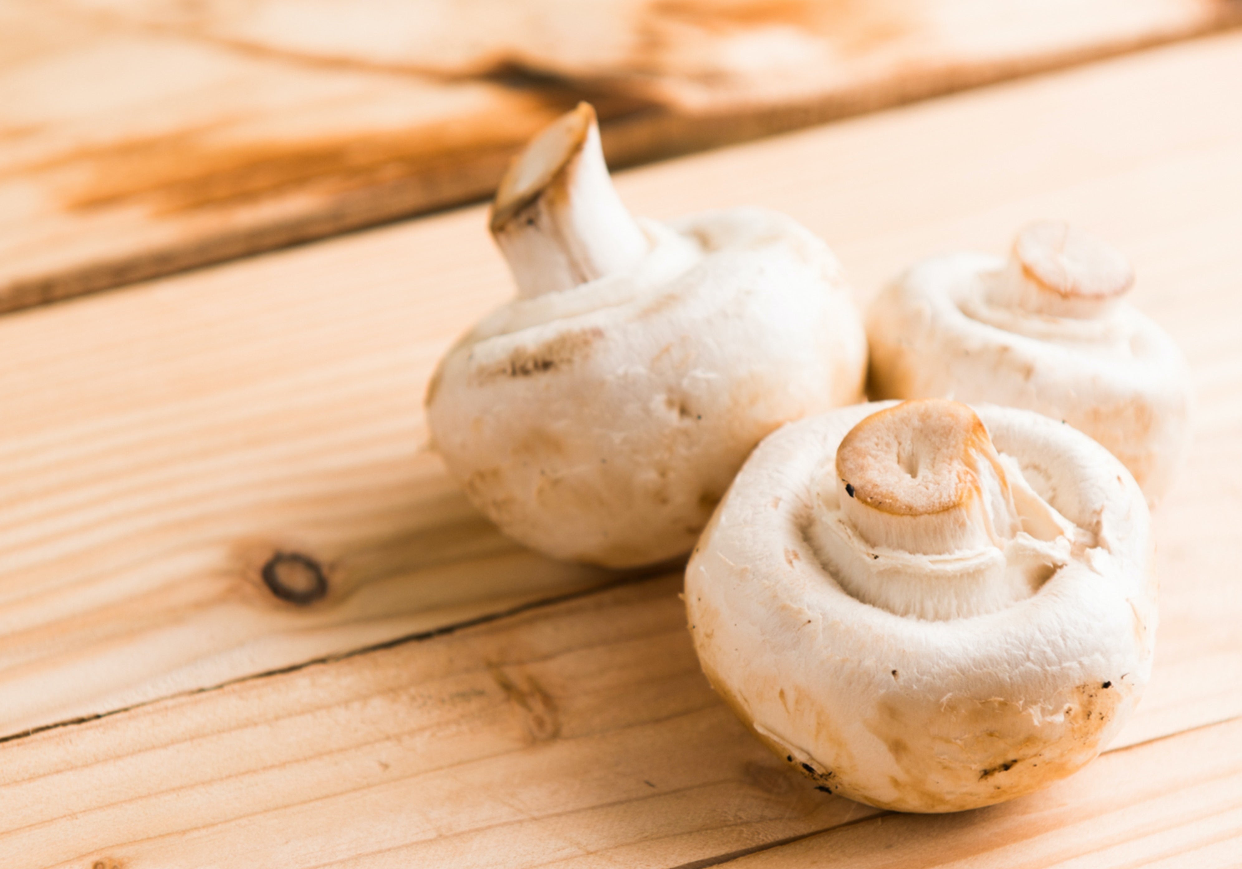 How To Store Mushrooms: Best Practices For Keeping Your Fungi Fresh