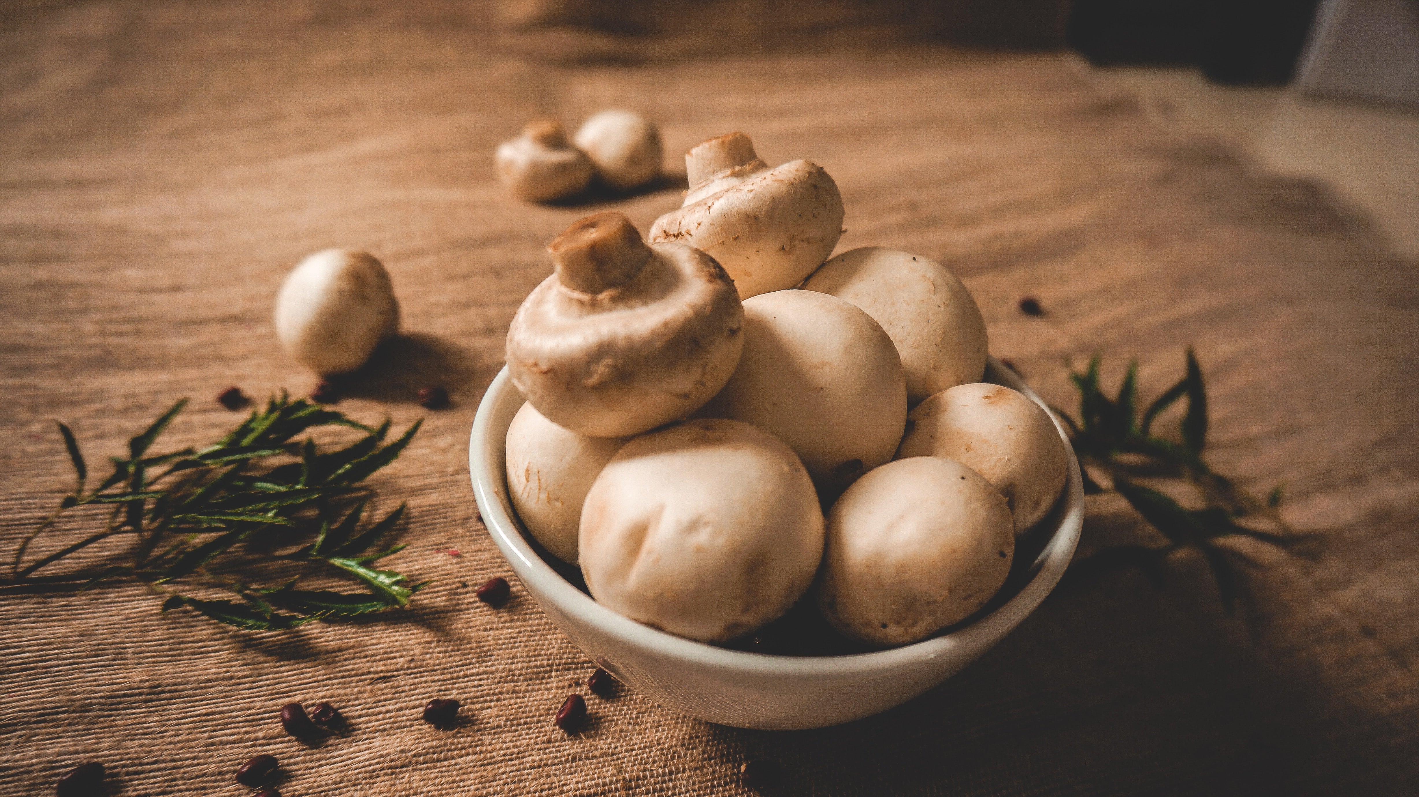 What Is Mushroom Coffee: Benefits and Brewing Tips