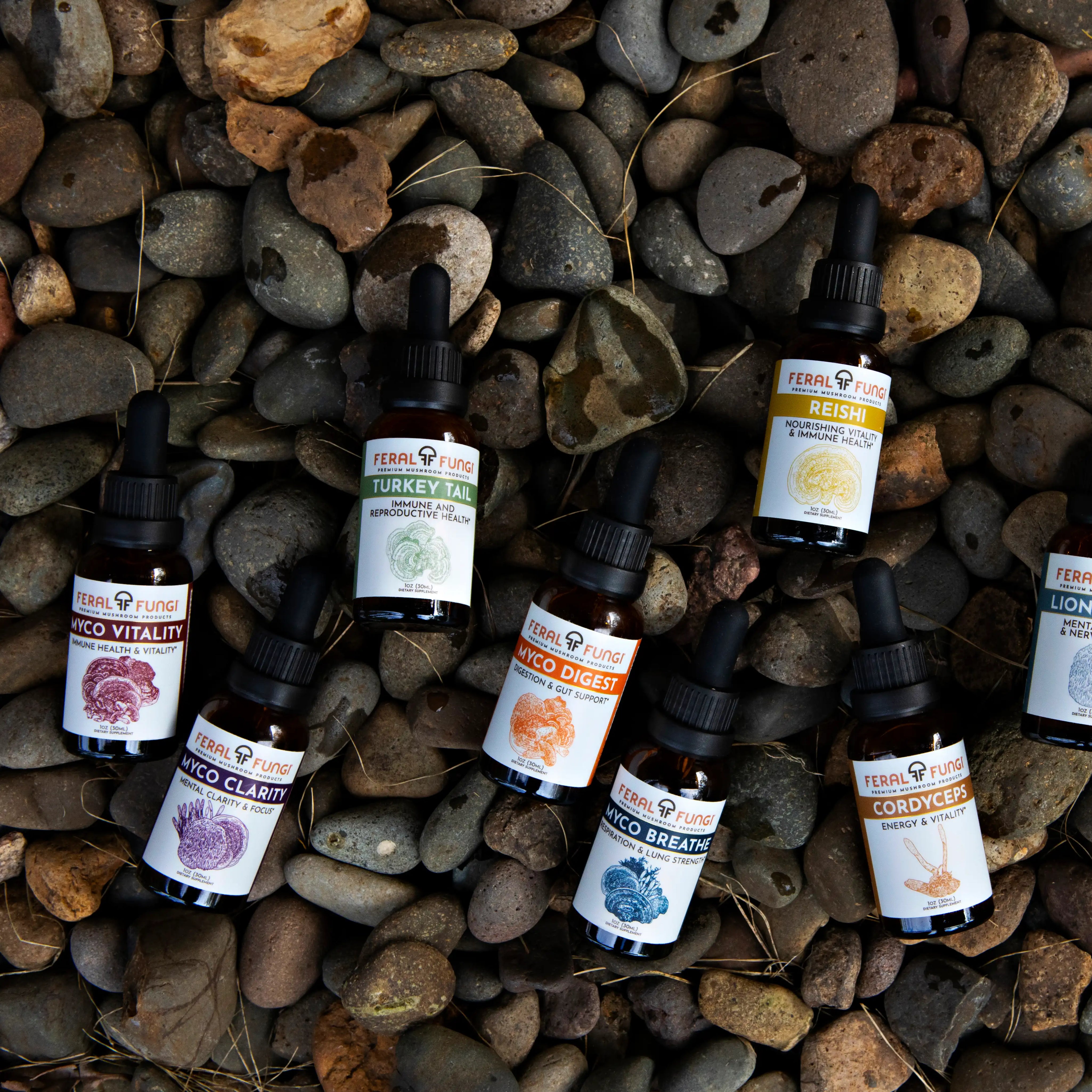 Tinctures Collection
