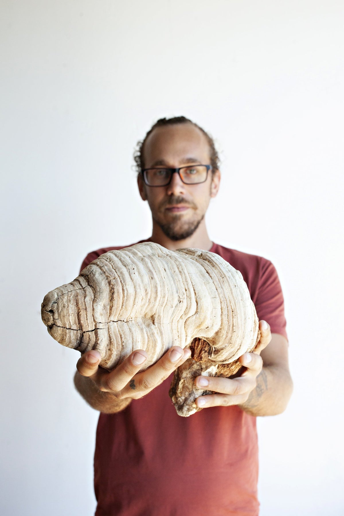 Agarikon (Fomitopsis officinalis) Spagyric Tincture