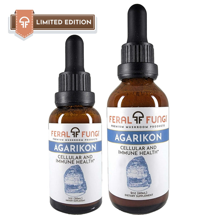 Agarikon (Fomitopsis officinalis) product details - Feral Fungi