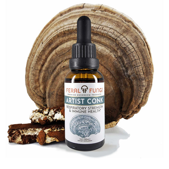 Artist Conk Extract (Ganoderma applanatum) - Spagyric Tincture - Feral Fungi