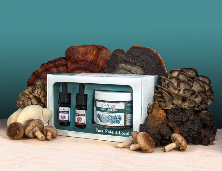 Balance Bundle Set - Feral Fungi