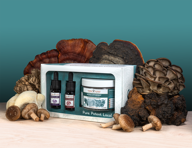 Balance Bundle Set - Feral Fungi