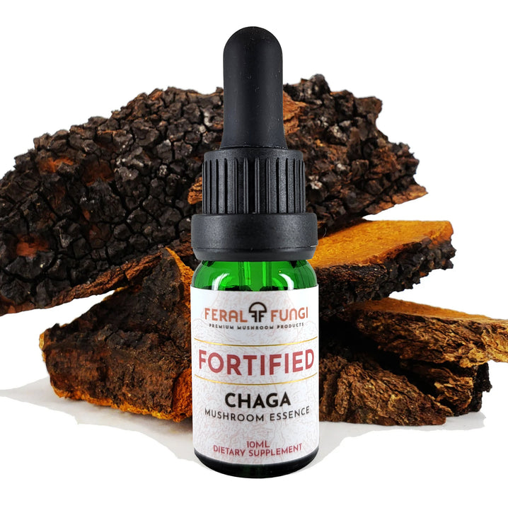 Chaga Essence - Spagyric Tincture - Feral Fungi