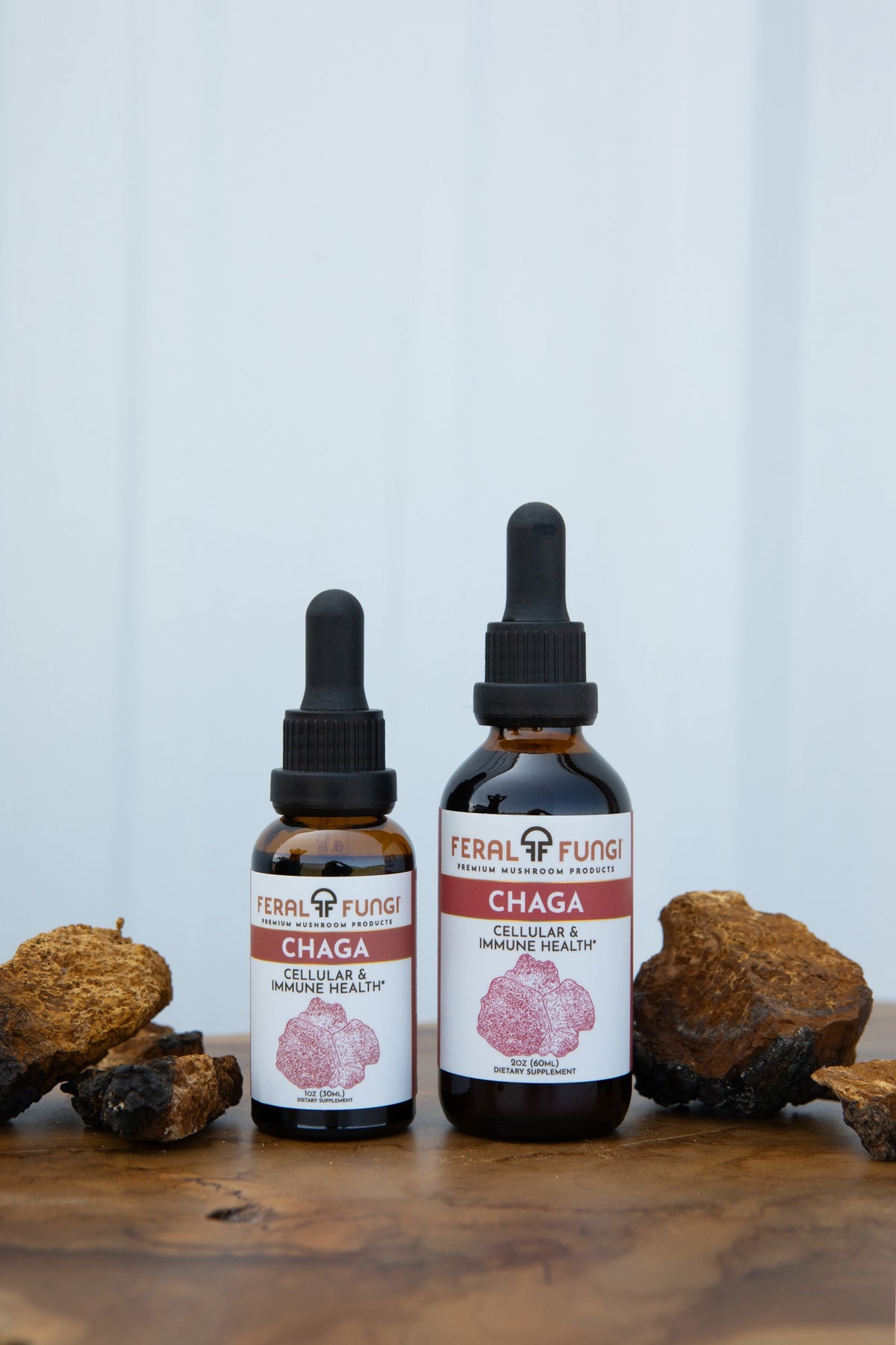 Chaga (Inonotus obliquus) Spagyric Tincture