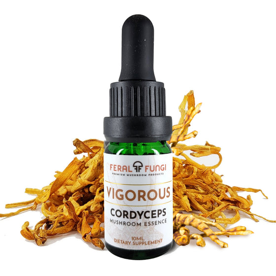 Cordyceps Essence - Feral Fungi