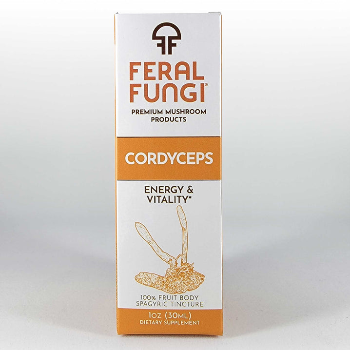 Cordyceps (Cordyceps Militaris) additional view 4 - Feral Fungi