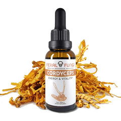 Cordyceps (Cordyceps militaris) Spagyric Tincture
