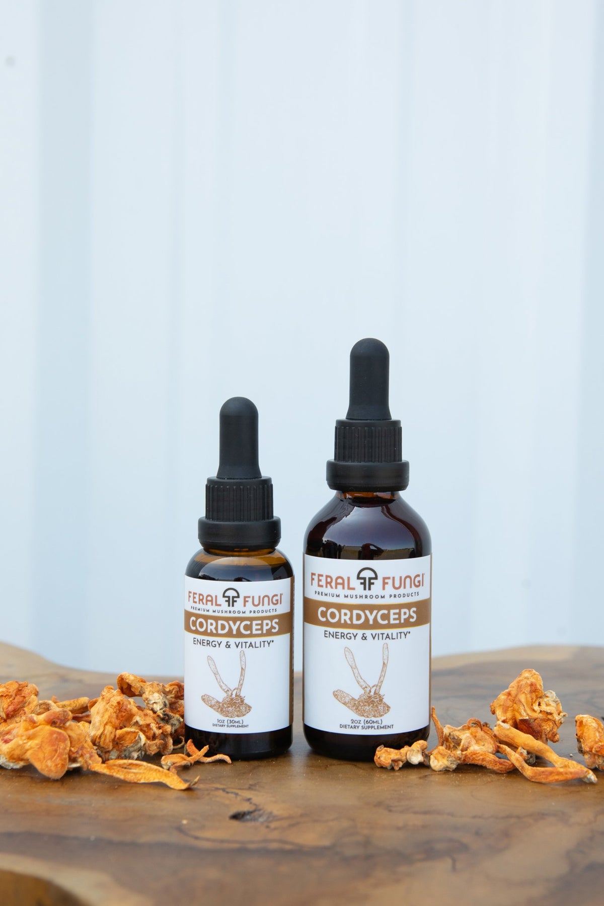 Cordyceps (Cordyceps militaris) Spagyric Tincture