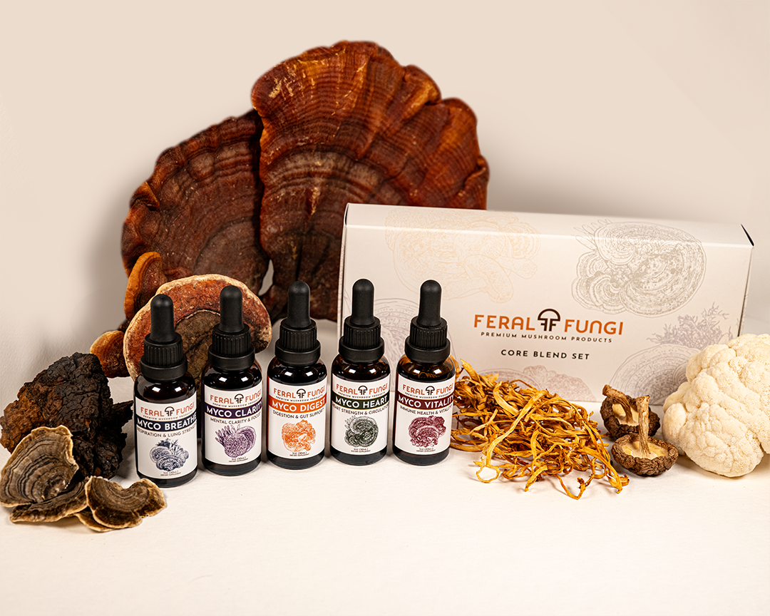 Core Blend Set - Feral Fungi