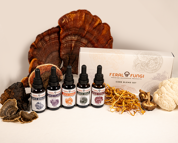 Core Blend Set - Feral Fungi