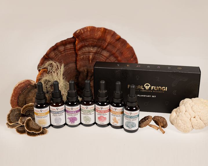 Planetary Set of Spagyric Tinctures - Feral Fungi