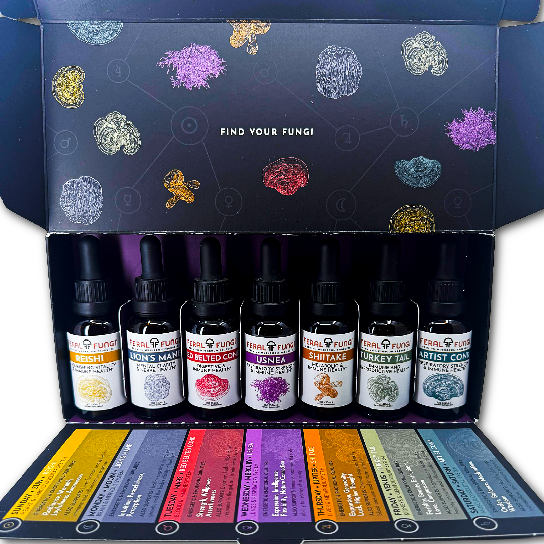 Planetary Set of Spagyric Tinctures