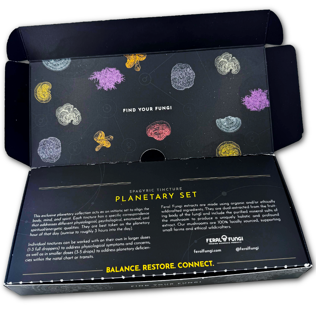 Planetary Set of Spagyric Tinctures