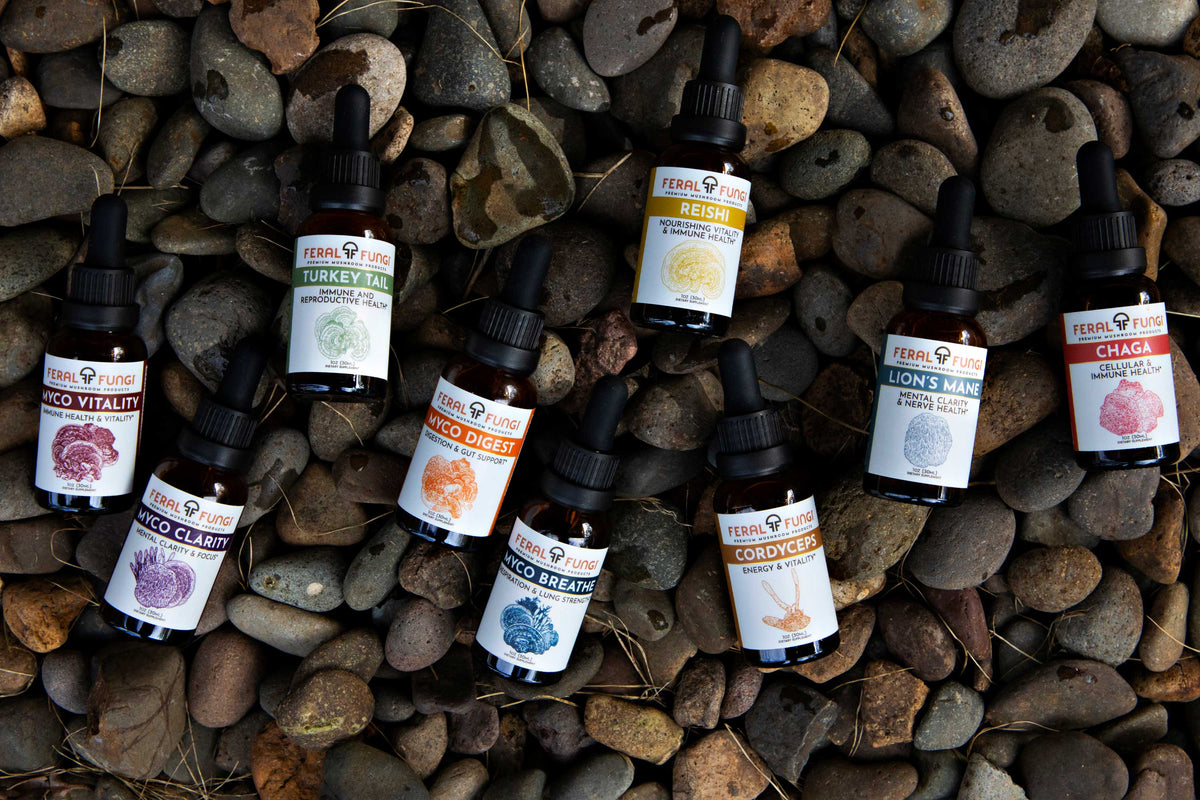 Nine Feral Fungi tinctures laid out on river rocks