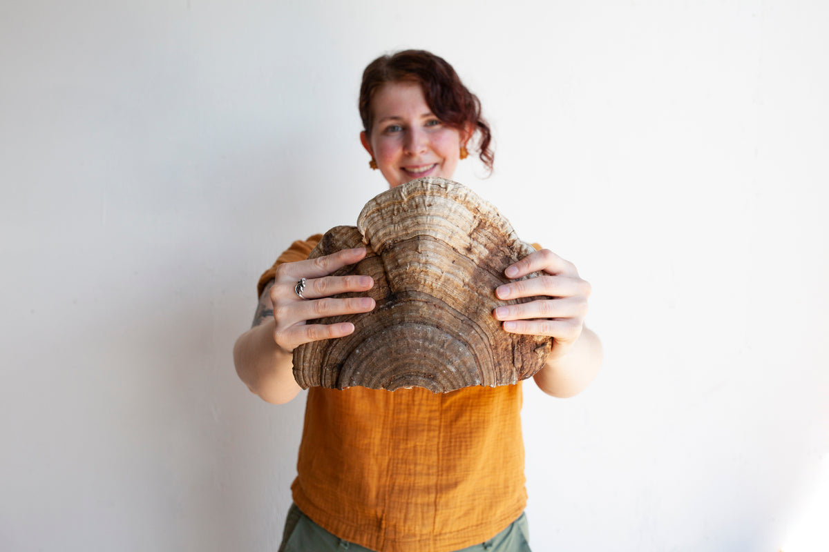 Feral Fungi team member holding a large shelf mushroom