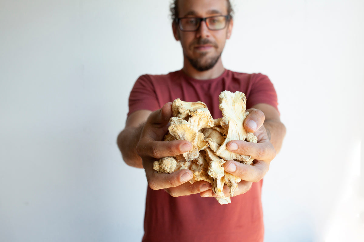 Feral Fungi team member holding dried mushroom pieces