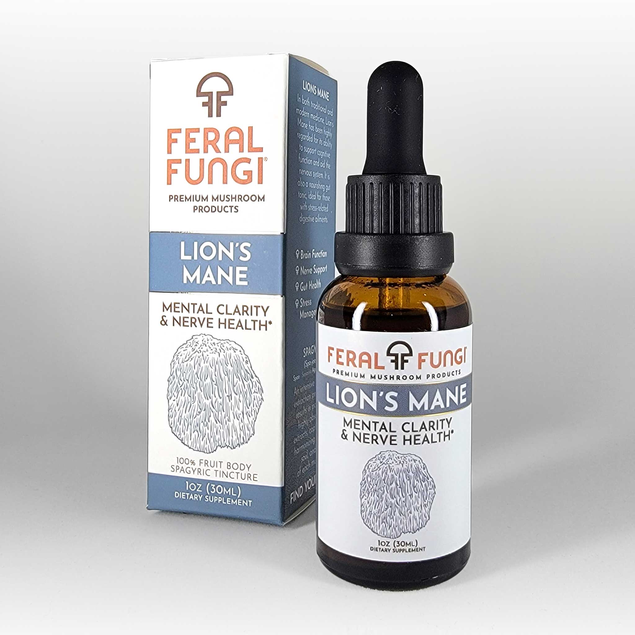 Best Lions Mane Mushroom Tincture