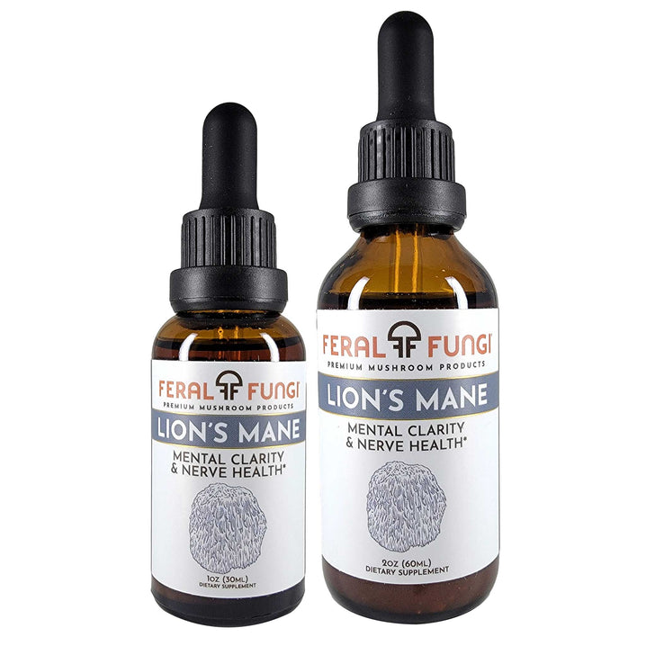 Lion's Mane (Hericium erinaceus) product details - Feral Fungi