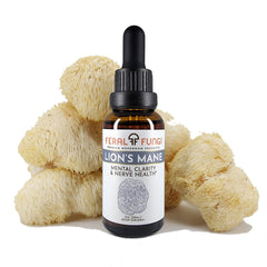 Lion's Mane Spagyric Tincture