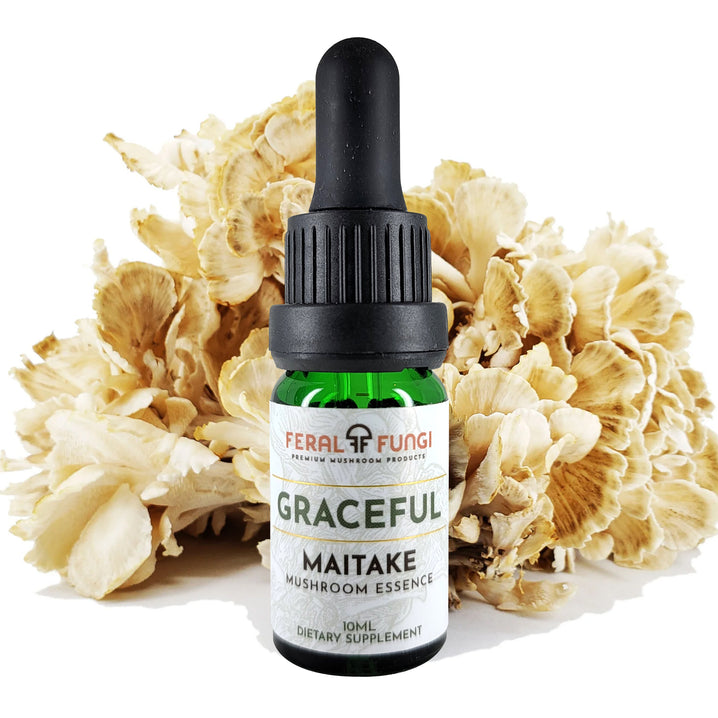 Maitake Essence - Feral Fungi