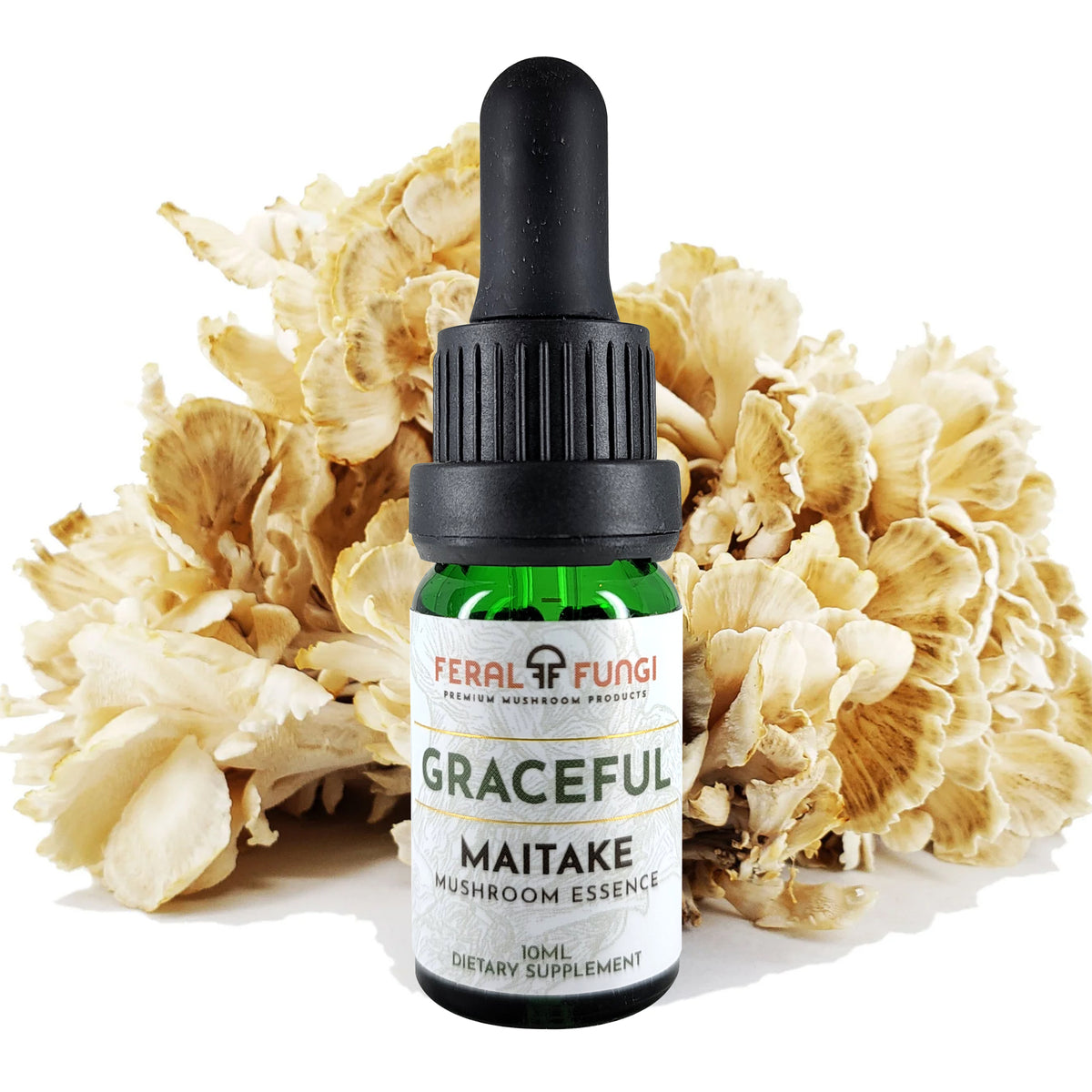 Maitake Essence - Feral Fungi