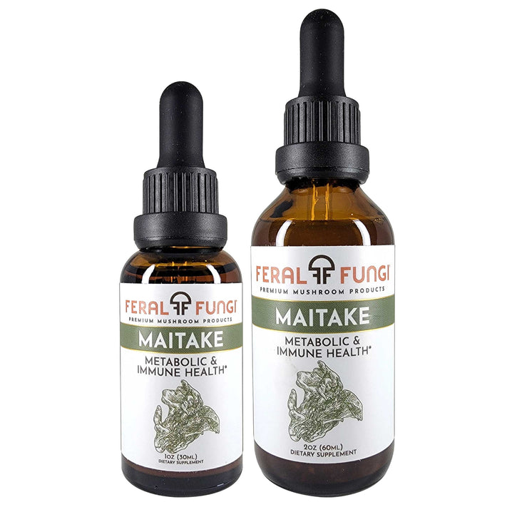 Maitake Extract (Grifola frondosa) - Spagyric Tincture product details - Feral Fungi