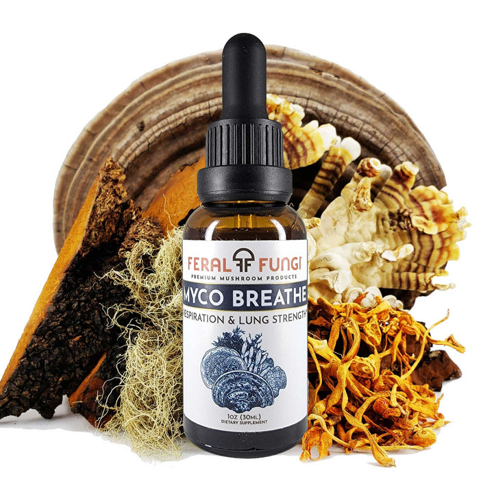 Myco-Breathe Spagyric Tincture - Feral Fungi