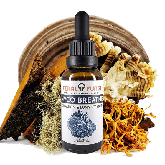 Myco-Breathe Spagyric Tincture - Feral Fungi