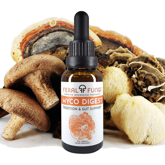 Myco-Digest Spagyric Tincture - Feral Fungi