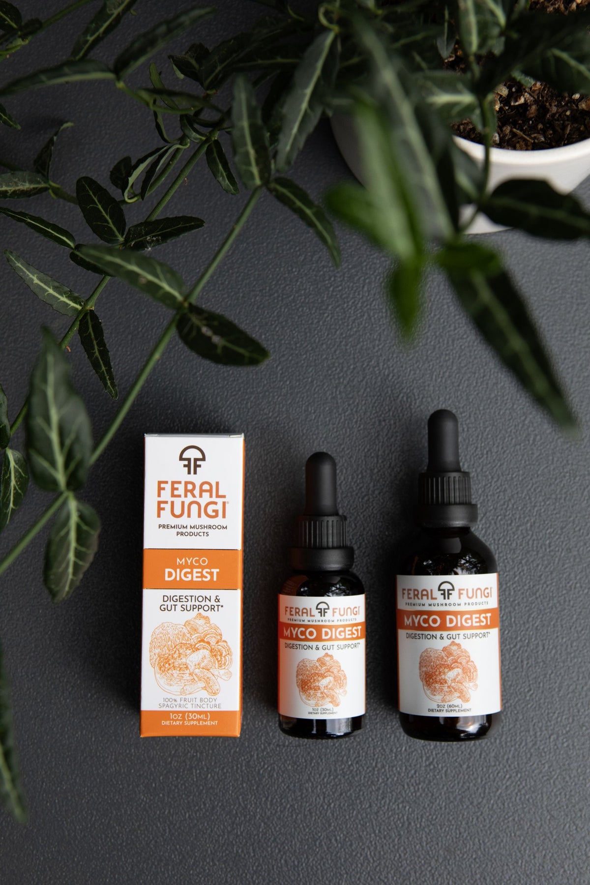 Myco-Digest Spagyric Tincture