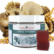Myco-Synergy Mushroom Gummies