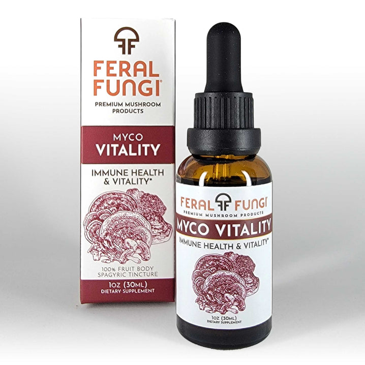 Myco-Vitality Spagyric Tincture close-up view - Feral Fungi