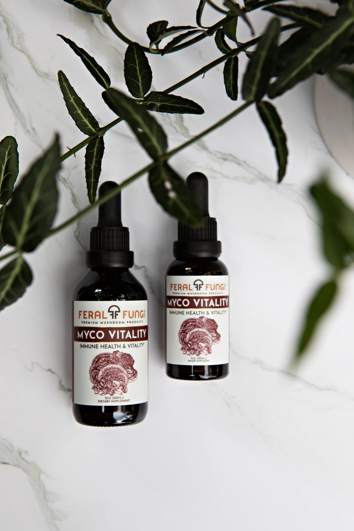 Myco-Vitality Spagyric Tincture
