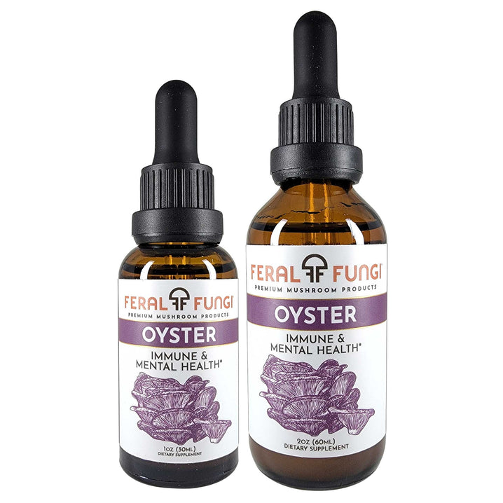 Oyster (Pleurotus ostreatus) product details - Feral Fungi