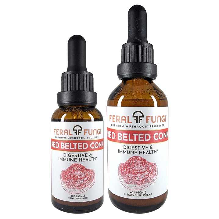 Red Belted Conk Extract (Fomitopsis pinicola)- Spagyric Extract product details - Feral Fungi