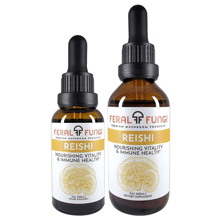 Reishi (Ganoderma lucidum) product details - Feral Fungi