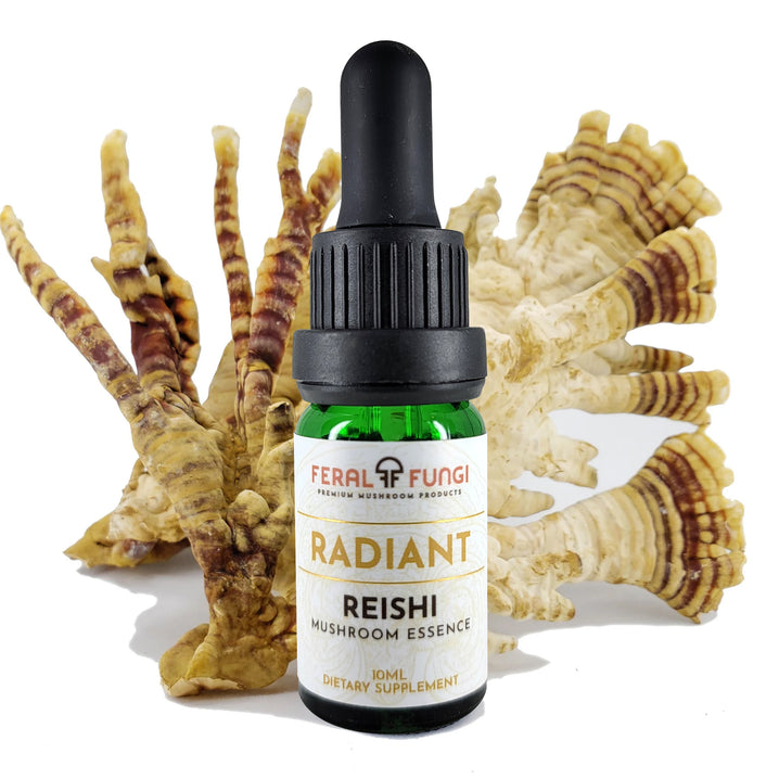 Reishi Essence - Feral Fungi