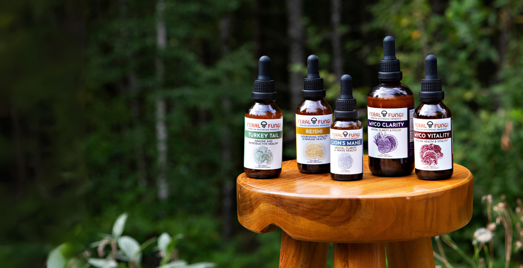 Forest service christmas tree permits ut